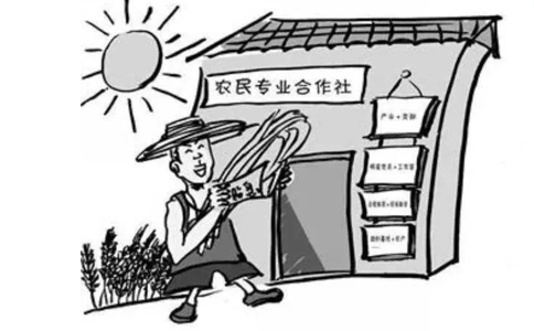 農(nóng)民專業(yè)合作社屬于企業(yè)法人嗎？農(nóng)民專業(yè)合作社的概念