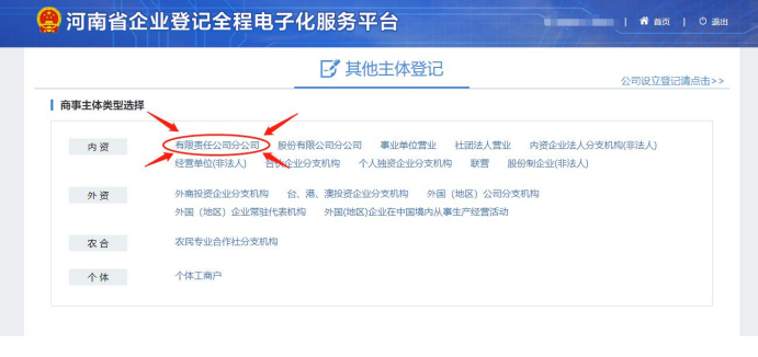 (河南省注冊(cè)分公司流程辦理選擇有限責(zé)任分公司注冊(cè)