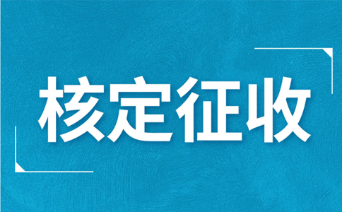 江西大額個體戶核定征收標(biāo)準(zhǔn)，2024年最新政策